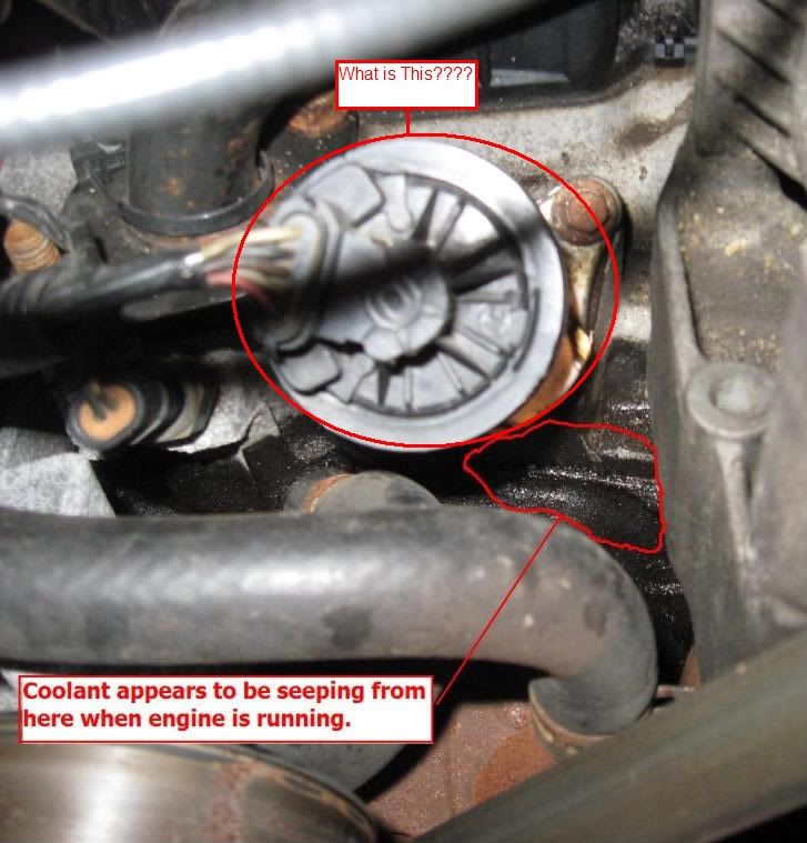 Intake Gaskets, what all do I need to remove? S10 Forum