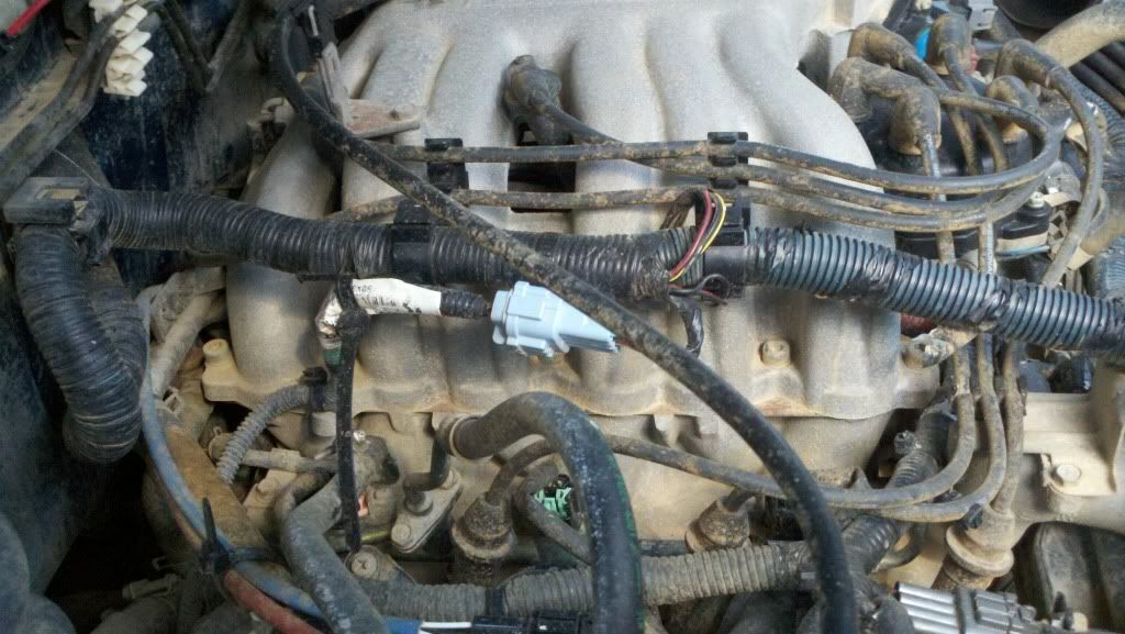 Intake Manifold Spacer vg33 Nissan XTerra Forum