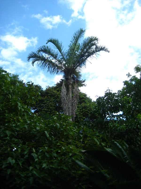 IMG_3861.jpg