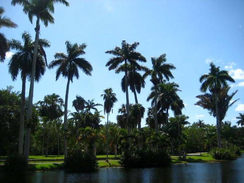 IMG_3987.jpg