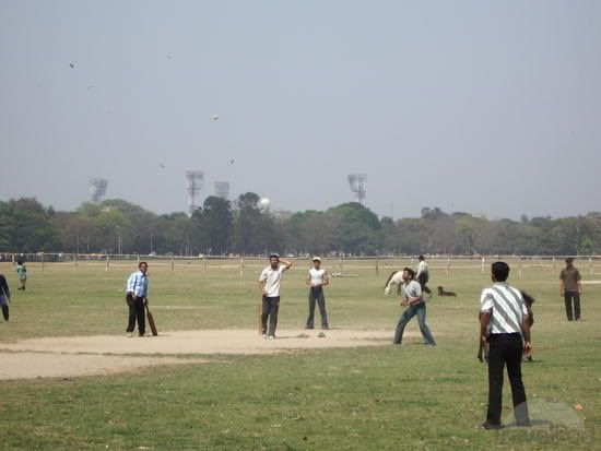 local cricket