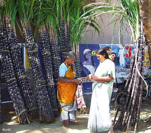 sugarcane vendor