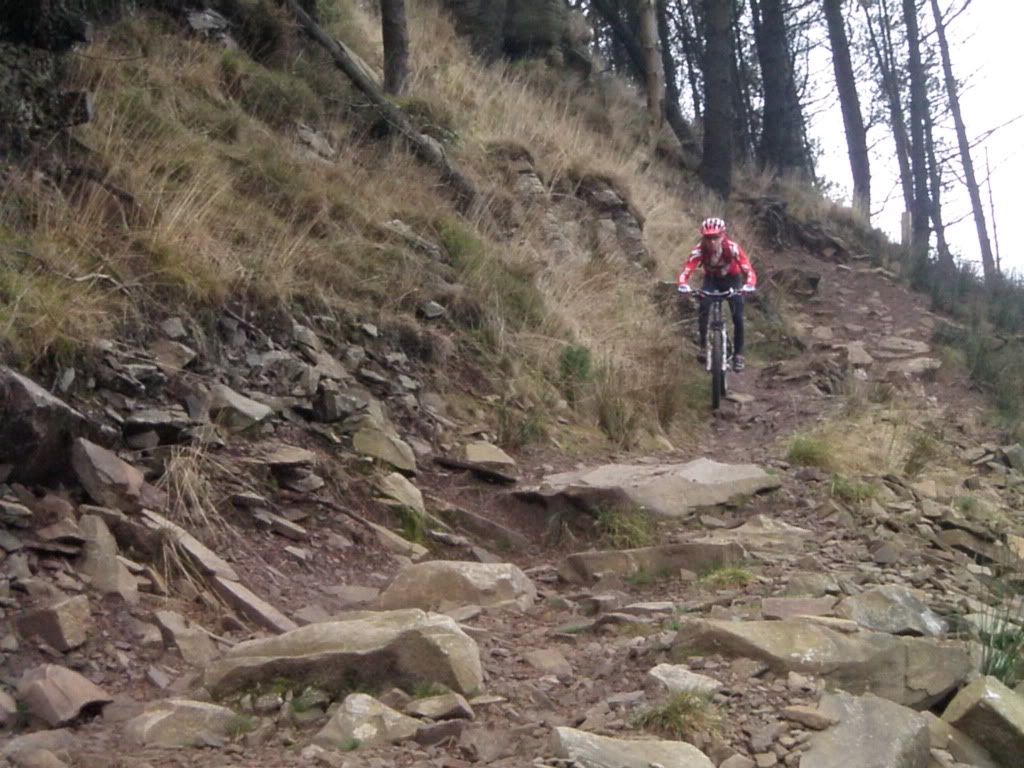 Afan-200920091031_50.jpg