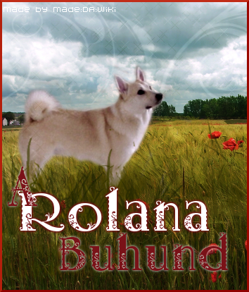 Rolana Have Faith