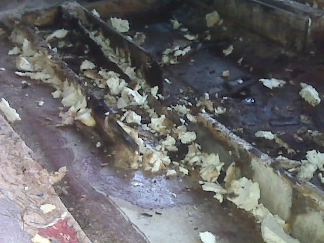 IMG00127.jpg