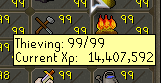 100thieving.png
