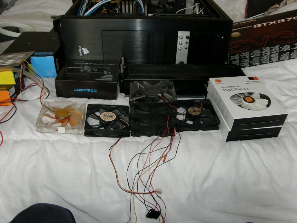 P6100045_zps261ffab6.jpg