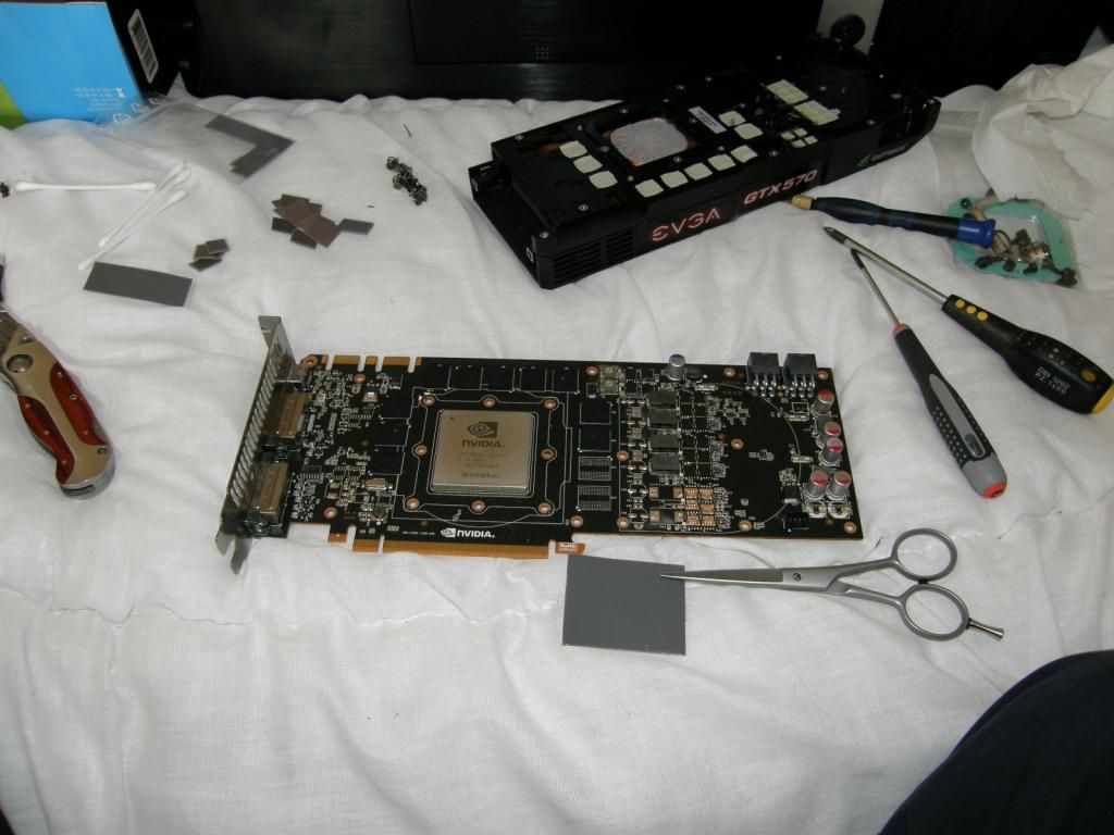 P6100084_zpsae2c5b2c.jpg