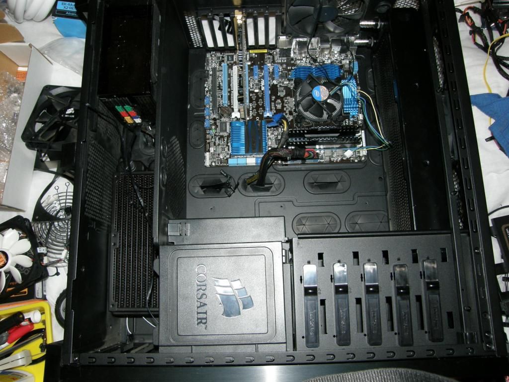 P6100106_zpsf6da2bda.jpg