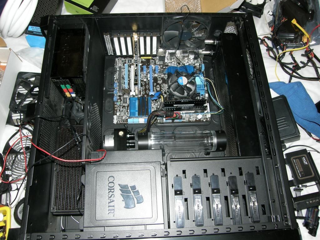 P6100111_zps6bb2ed7e.jpg