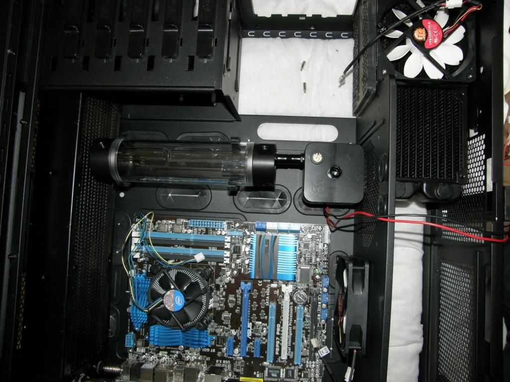 P6110139_zpsad8dcb6c.jpg