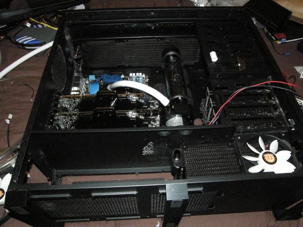 P6140197_zps178b4b13.jpg