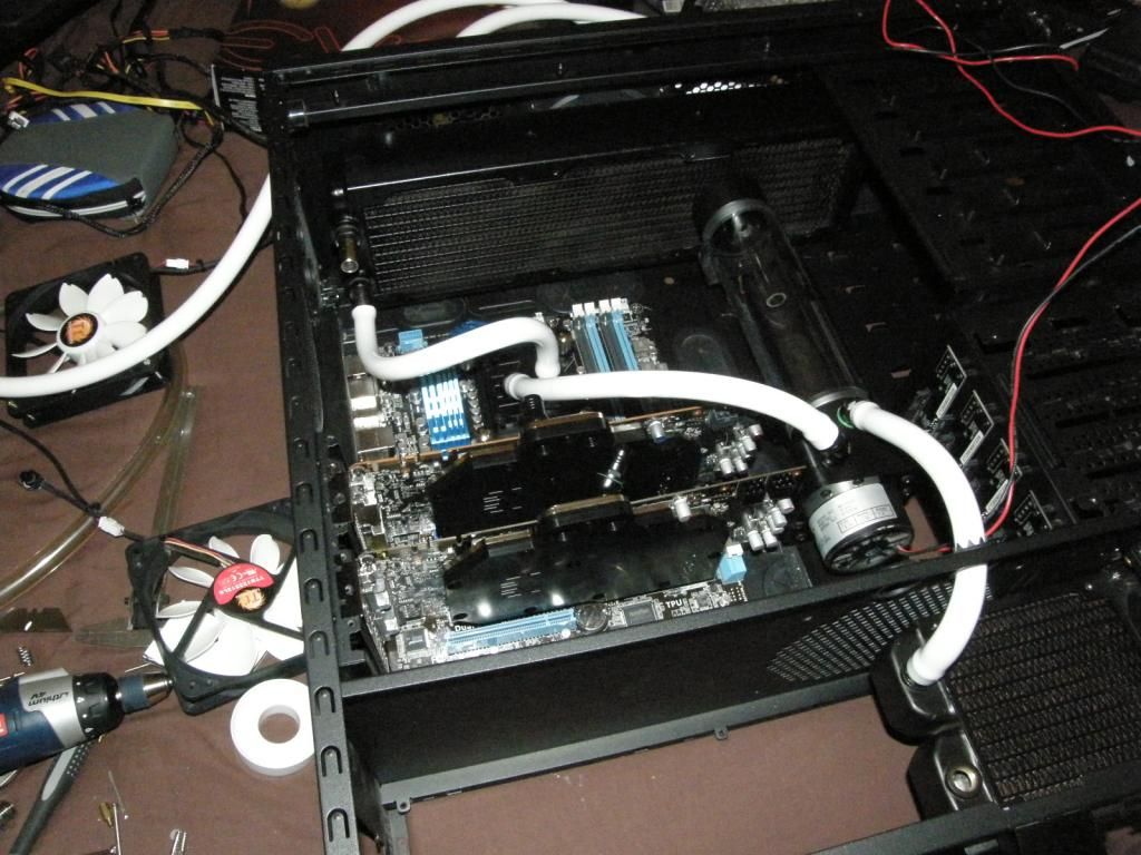 P6160211_zps0ccdf7b1.jpg