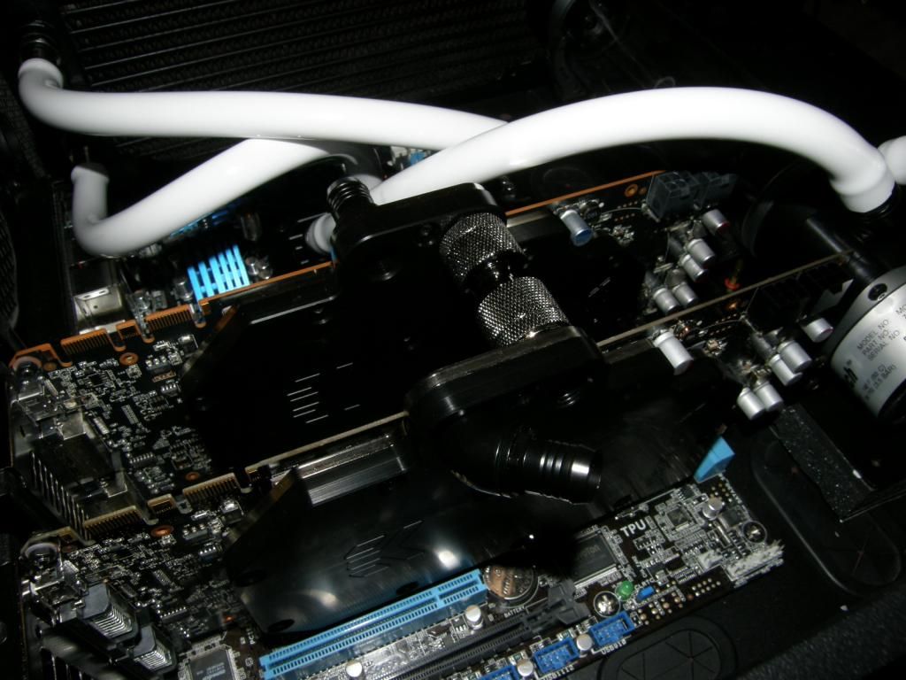 P6160214_zpscec6e3e4.jpg