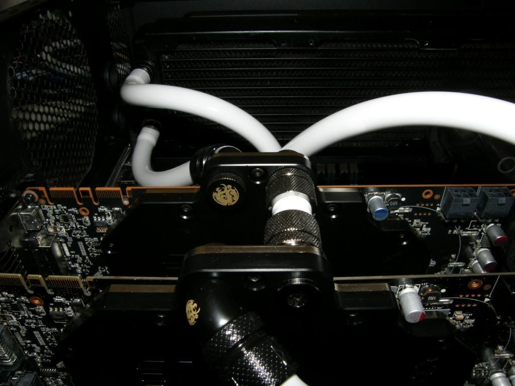 P6190250_zps53943d9b.jpg