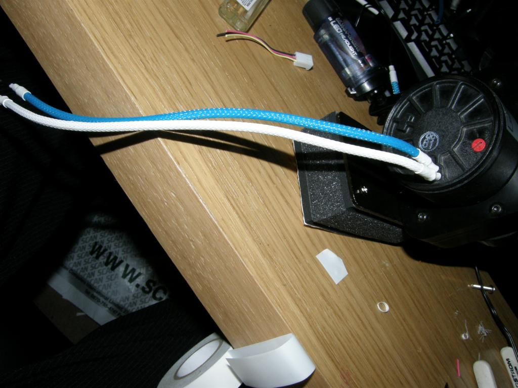 P6200272_zps6027b741.jpg