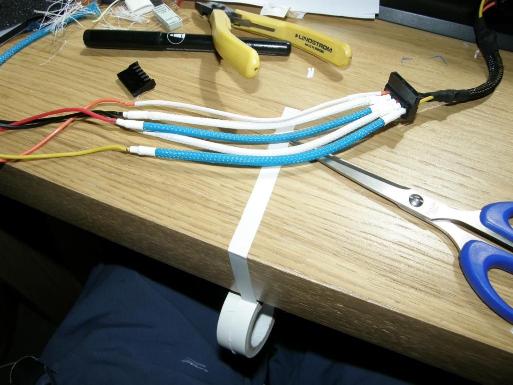 P6290335_zpsc5e4ef02.jpg