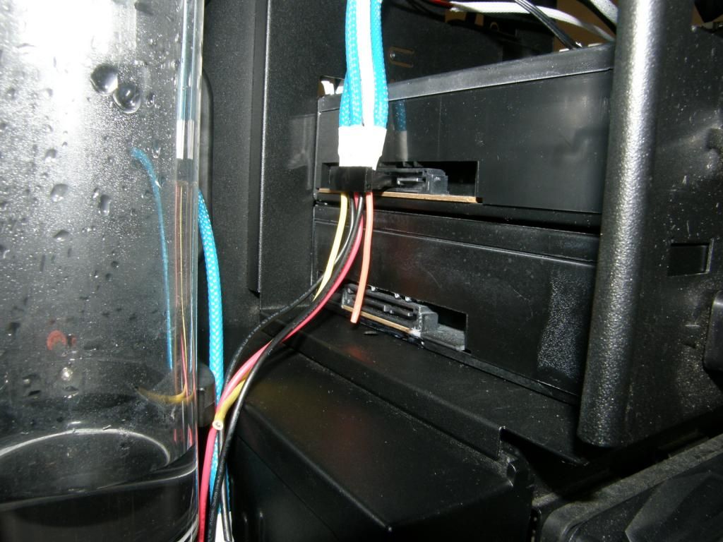 P6290363_zps4efbd8e2.jpg