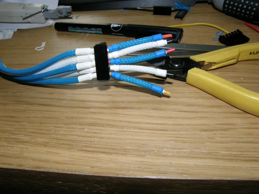 P6290371_zps168bbc2d.jpg