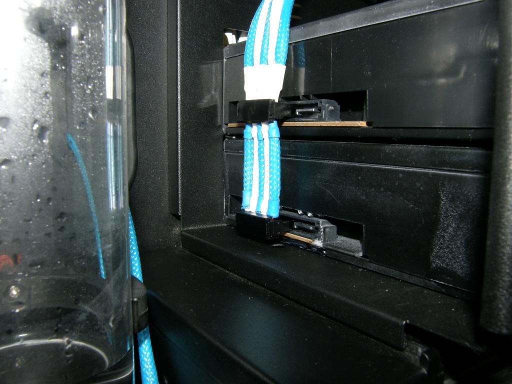 P6290377_zpsbe40c4b6.jpg