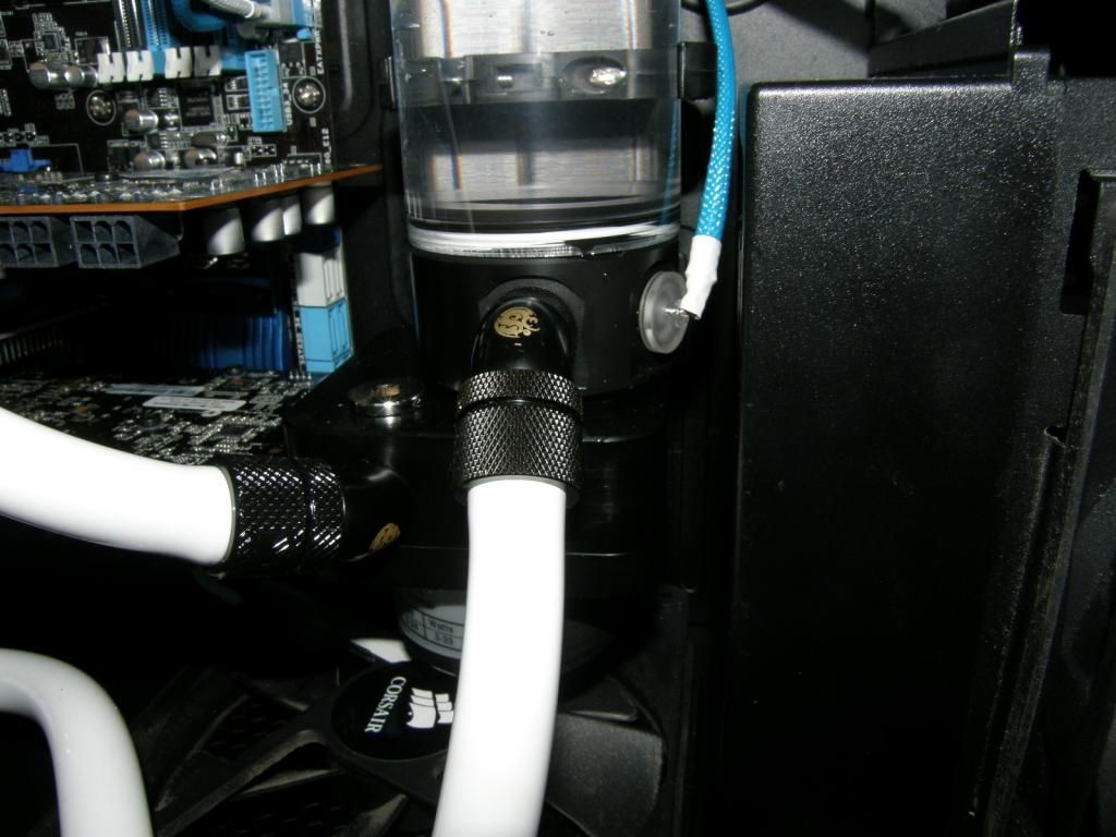 P6290395_zps1bb3f63e.jpg