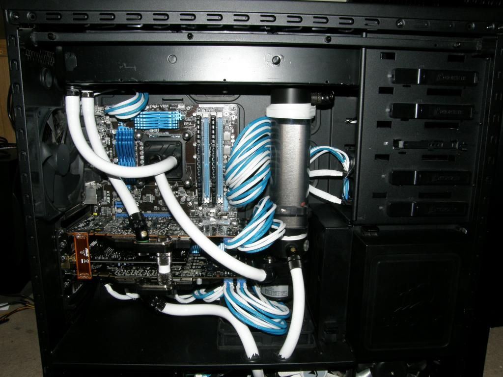P7040455_zpsf2add1d1.jpg