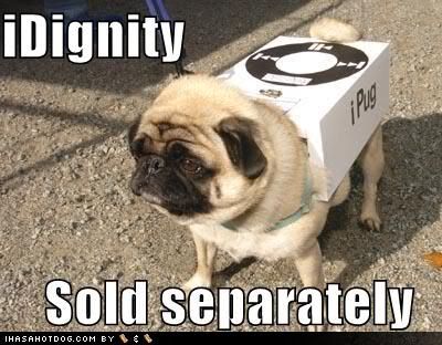 [Image: funny-dog-pictures-pug-does-not-come-with-dignity-1.jpg]