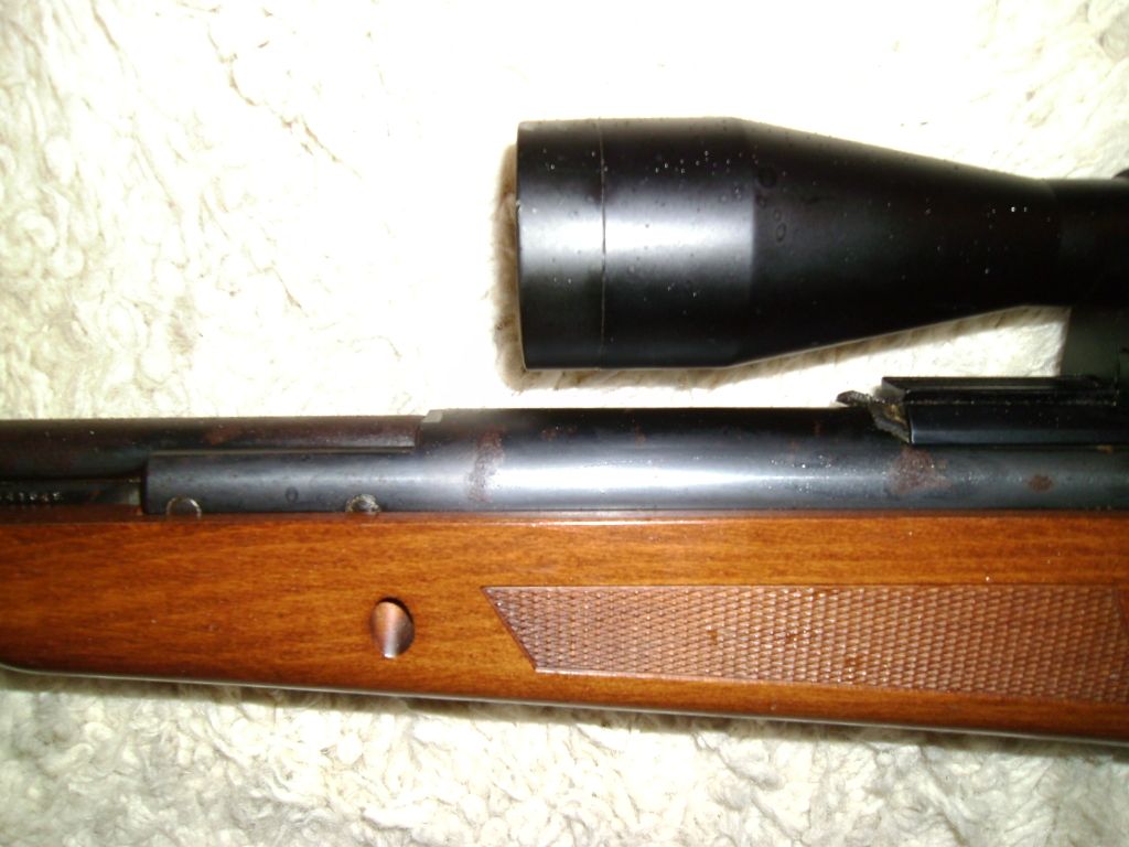 PICT0008_zpse19b34d2.jpg