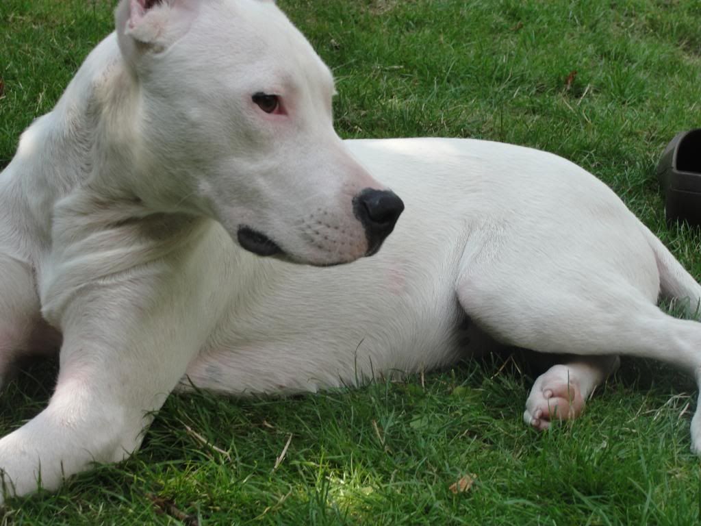 DSC00424.jpg
