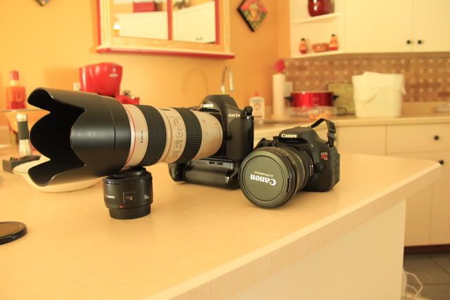 IMAGE: http://i969.photobucket.com/albums/ae179/rybo87/IMG_5069.jpg