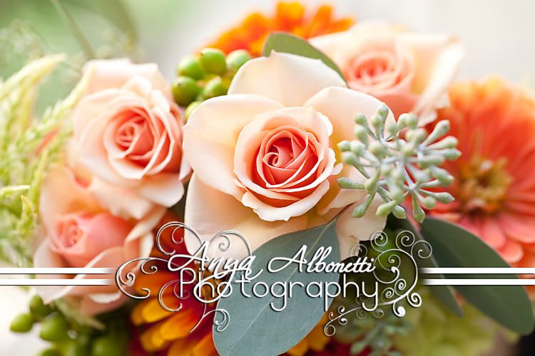 wedding,bloomington,anya,anya albonetti,anya albonetti photography,foxy,edgy,unexpected,luxurious photography,unusual photography,vintage photography