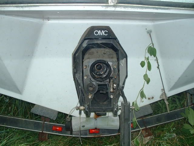 drive-2.jpg