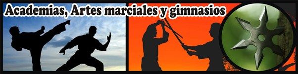 academias de artes marciales y gimnasios