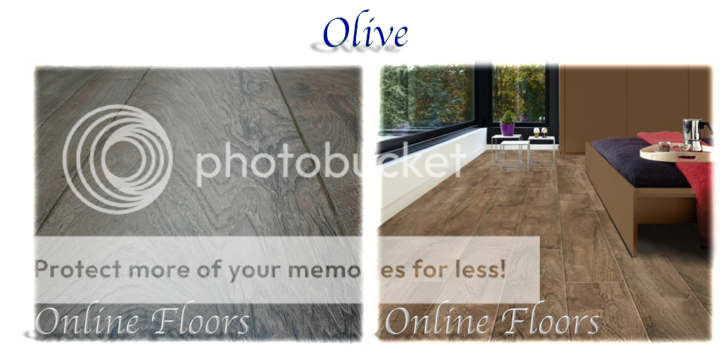 Balterio Tradition Sapphire Olive 9mm Laminate Flooring Sample 99P
